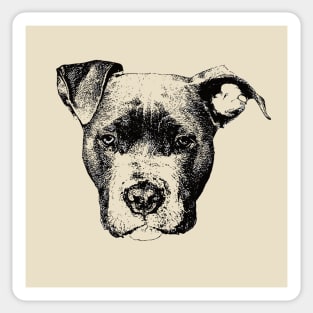 American Pit Bull Terrier Face Design - A pit bull Christmas Gift Sticker